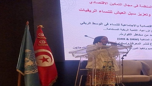 منظمة المرأة العربية تُشارك في الندوة العربية حول 