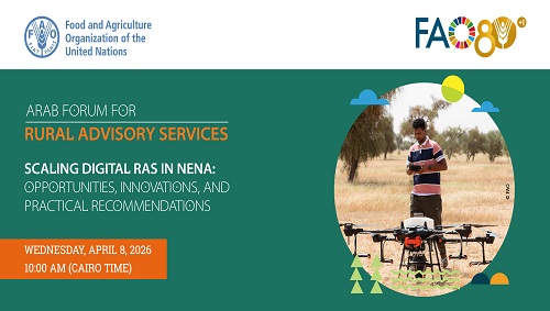 منظمة المرأة العربية تُشارك في الويبينار الإقليمي 