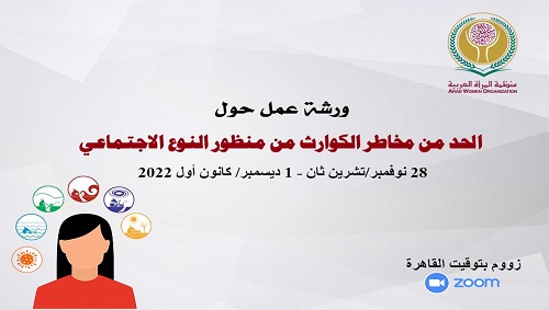 منظمة المرأة العربية تعقد ورشة عمل 