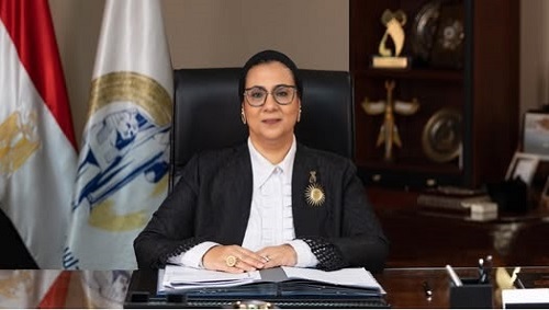 منظمة المرأة العربية تعقد ورشة عمل افتراضية لعرض ومناقشة مخرجات المرحلة الثانية من البحث التوثيقي 