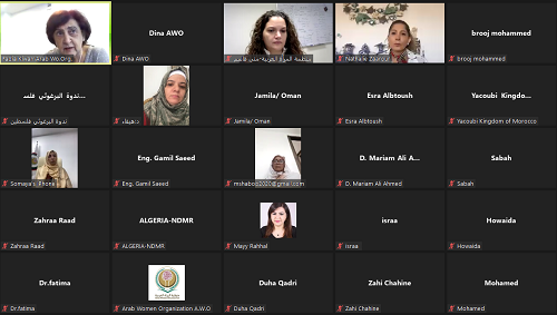 منظمة المرأة العربية تعقد ورشة عمل حول: 
