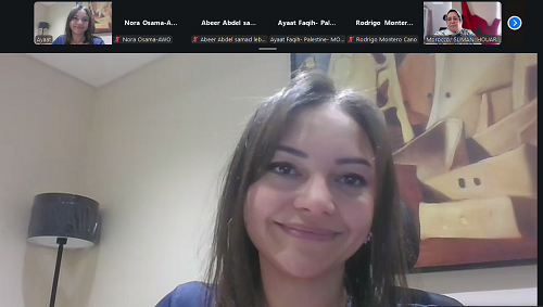 إطلاق مجموعة العمل الإقليمية لإعداد خارطة طريق لاقتصاد الرعاية في المنطقة العربية
