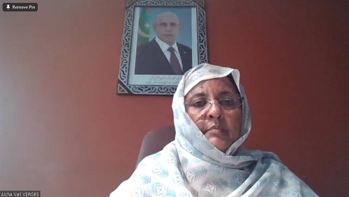 الدليل التدريبي لمنهجية إعداد التقارير الوطنية المرفوعة إلى اللجنة الأممية المعنية بالقضاء على التمييز ضد المرأة (سيداو)