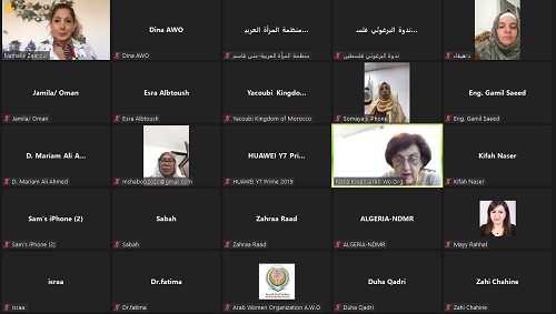 المرأة والحد من مخاطر الكوارث الطبيعية في العالم العربي