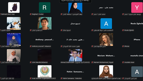 شباب عربي من الجنسين يقود التغيير في نموذج محاكاة 