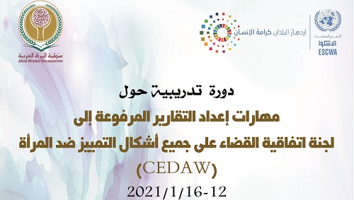 دورة  تدريبية حول مهارات إعداد التقارير المرفوعة إلى لجنة اتفاقية القضاء على جميع أشكال التمييز ضد المرأة (CEDAW)
