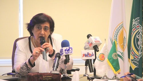  المؤتمر الصحفي حول وضع المرأة والطفل في الجمهورية اليمنية 